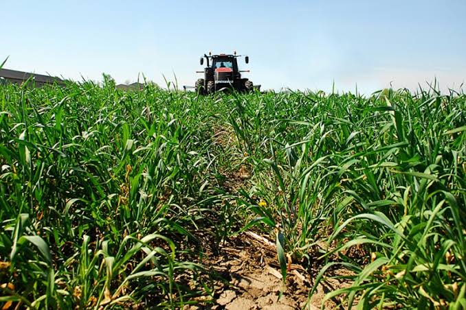 Farm / crop field